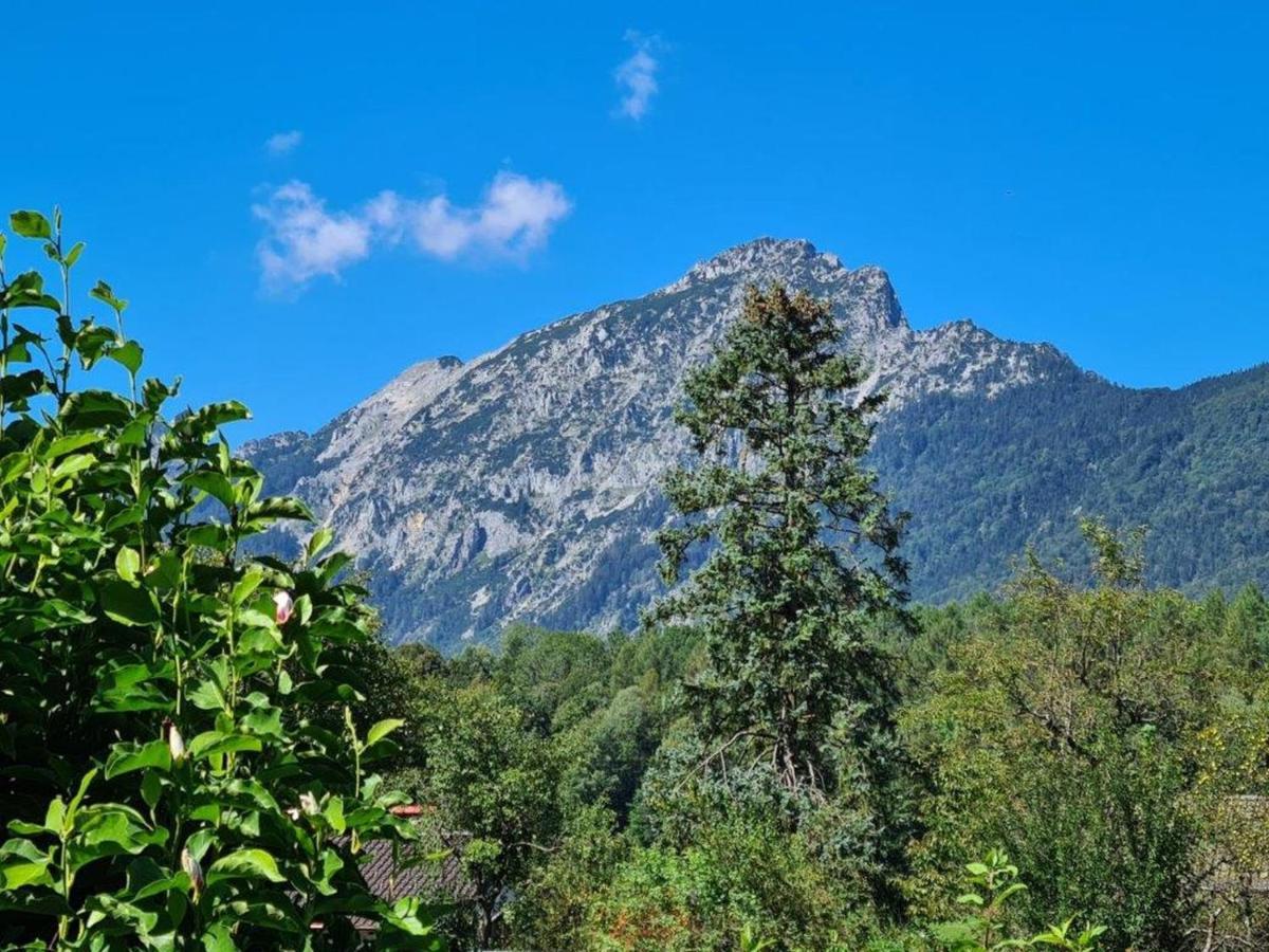 Ferienwohnungen Sommer Bayerisch Gmain Esterno foto